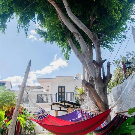 Zoola Hotel San Pedro La Laguna-2